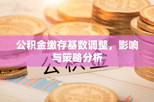 吉阳公积金缴存基数调整，影响与策略分析