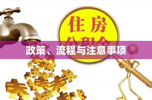 吉阳政策、流程与注意事项