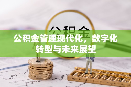 吉阳公积金管理现代化，数字化转型与未来展望