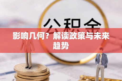 吉阳影响几何？解读政策与未来趋势