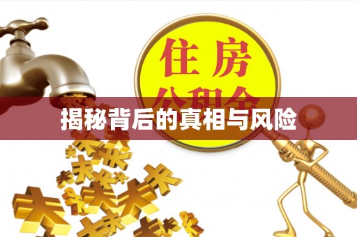 吉阳揭秘背后的真相与风险