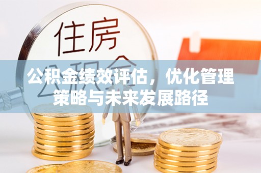 吉阳公积金绩效评估，优化管理策略与未来发展路径