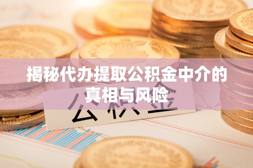 吉阳揭秘代办提取公积金中介的真相与风险