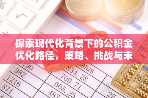 吉阳探索现代化背景下的公积金优化路径，策略、挑战与未来展望