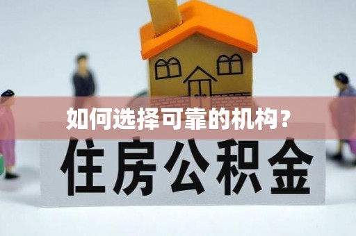 吉阳如何选择可靠的机构？