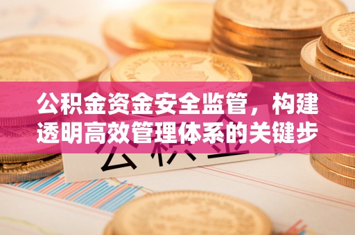 吉阳公积金资金安全监管，构建透明高效管理体系的关键步骤