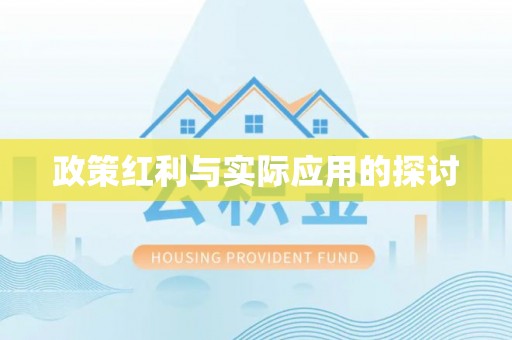 吉阳政策红利与实际应用的探讨