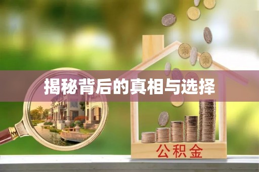 吉阳揭秘背后的真相与选择