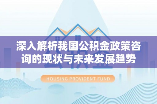 吉阳深入解析我国公积金政策咨询的现状与未来发展趋势