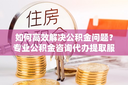 吉阳如何高效解决公积金问题？专业公积金咨询代办提取服务来帮你